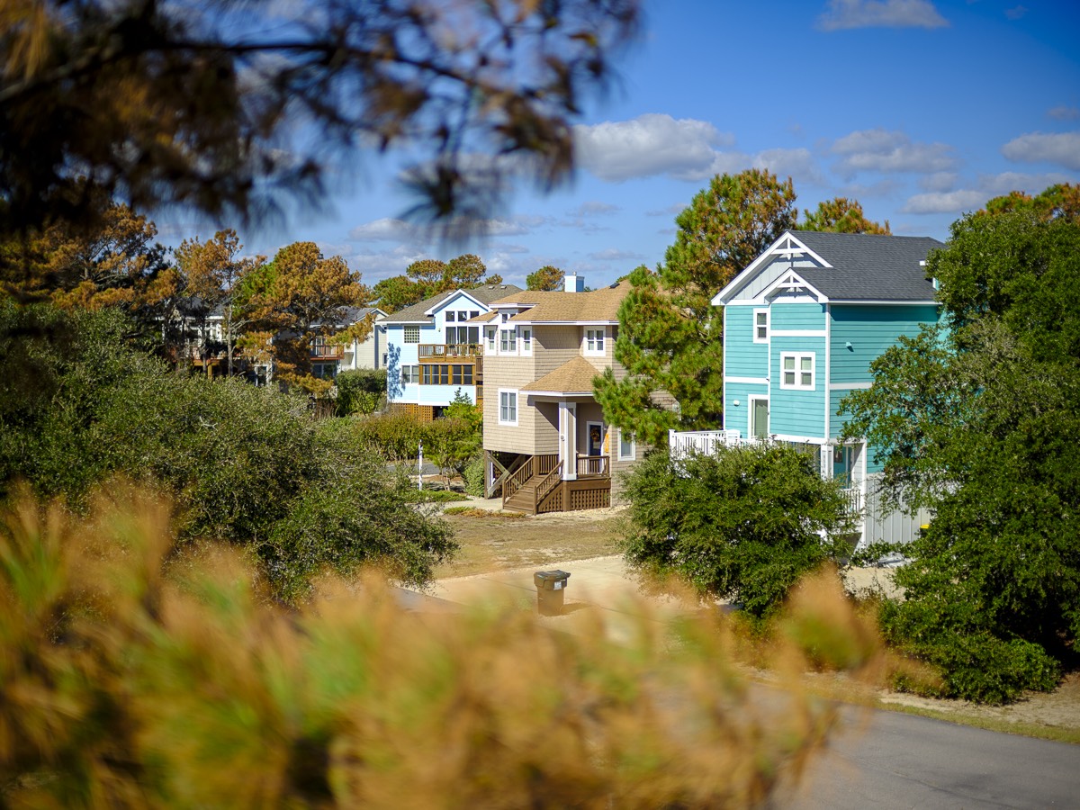 Pastel beach houses in Corolla framed by pine branches under a blue sky.